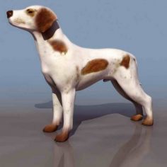 مدل سه بعدی سگ