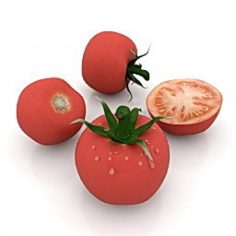 مدل سه بعدی گوجه فرنگی