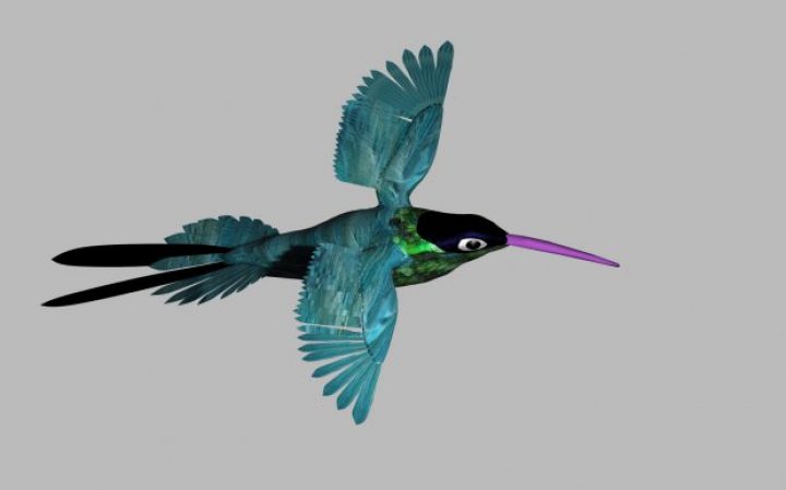 مدل سه بعدی پرنده