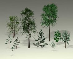 دانلود مجموعه مدل سه بعدی درخت