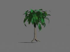 مدل سه بعدی درخت نارگیل