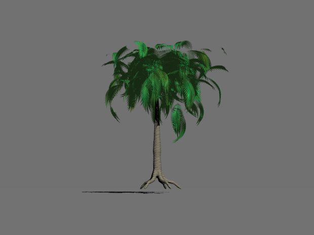 مدل سه بعدی درخت نارگیل