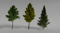 مدل سه بعدی صحنه واقعی درختان Realistic Trees Scene 3D Model